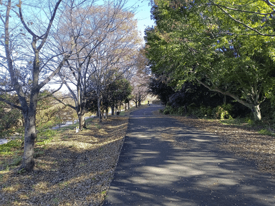 画像16