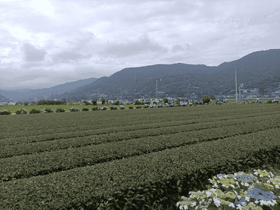 画像20