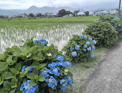 画像20