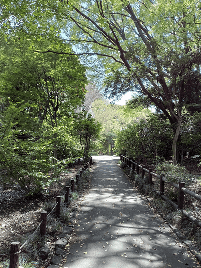 画像18