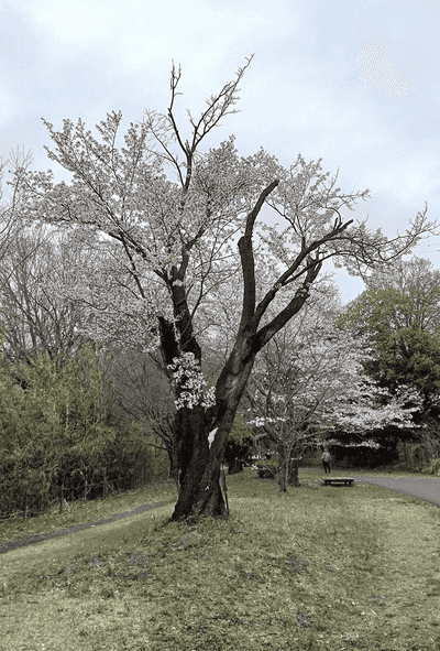 画像18