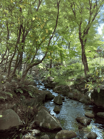 画像18