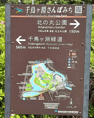 画像18